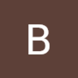 BulkSMSing.com's Customer